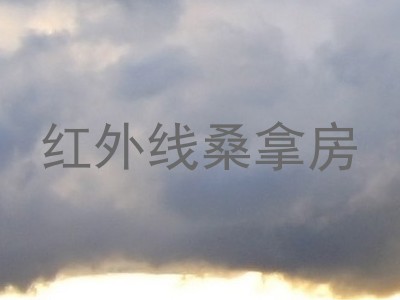 红外线桑拿房