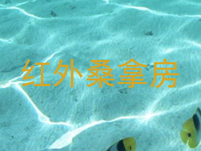 红外桑拿房