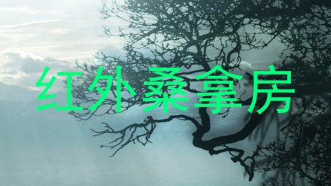 红外桑拿房