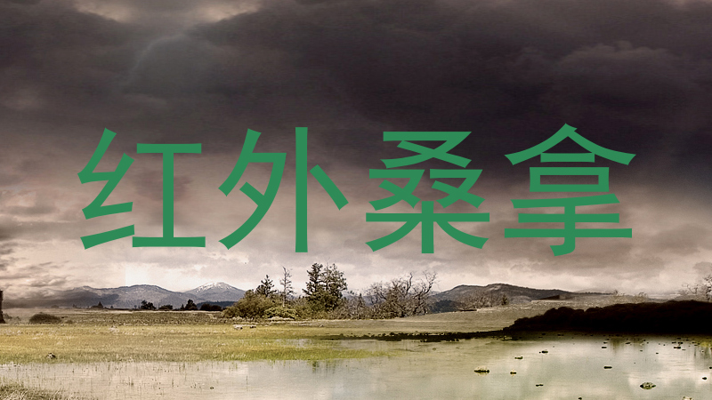 红外桑拿