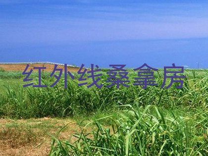 红外线桑拿房