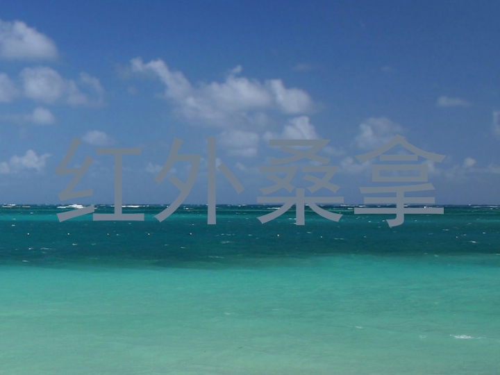 红外桑拿