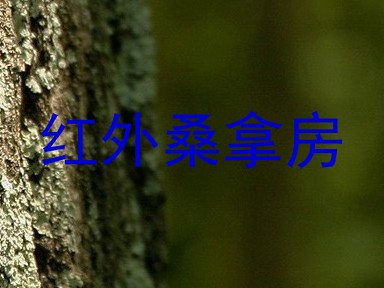 红外桑拿房