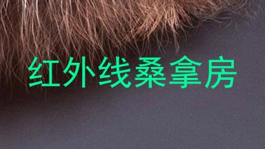红外线桑拿房