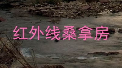 红外线桑拿房