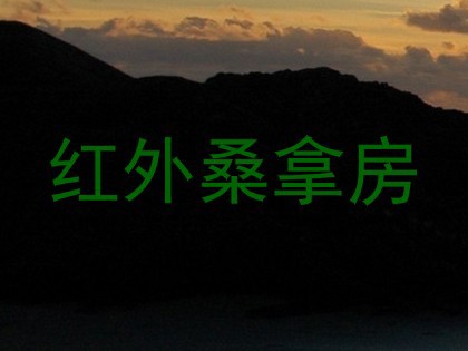 红外桑拿房