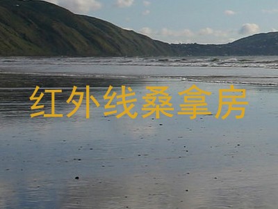红外线桑拿房