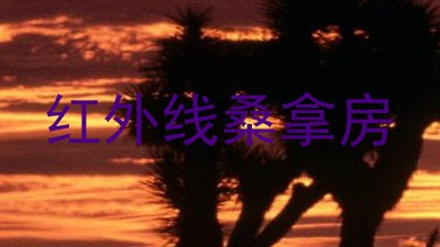 红外线桑拿房