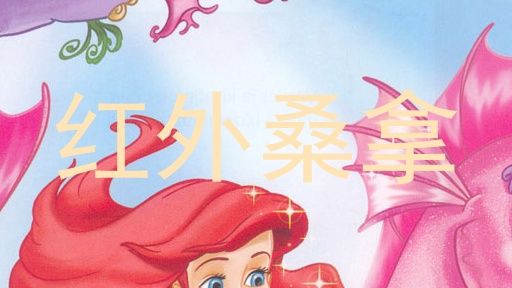 红外桑拿