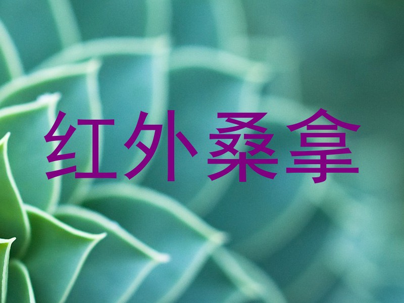 红外桑拿