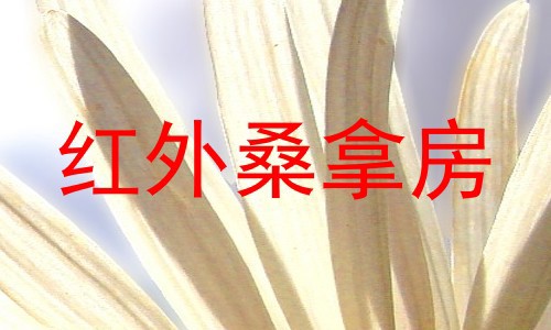 红外桑拿房