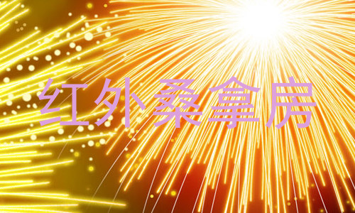 红外桑拿房