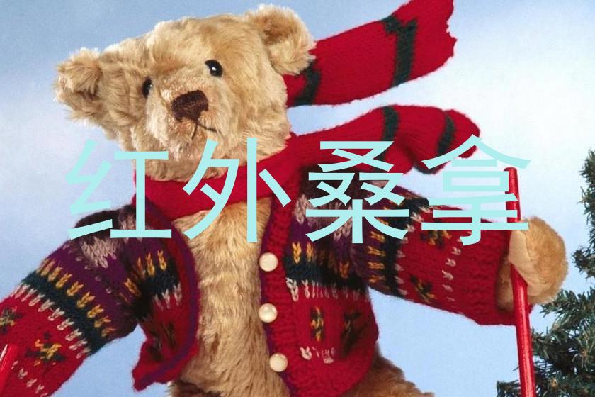 红外桑拿