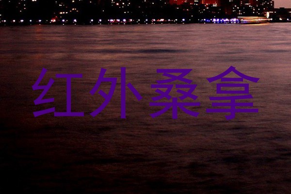 红外桑拿