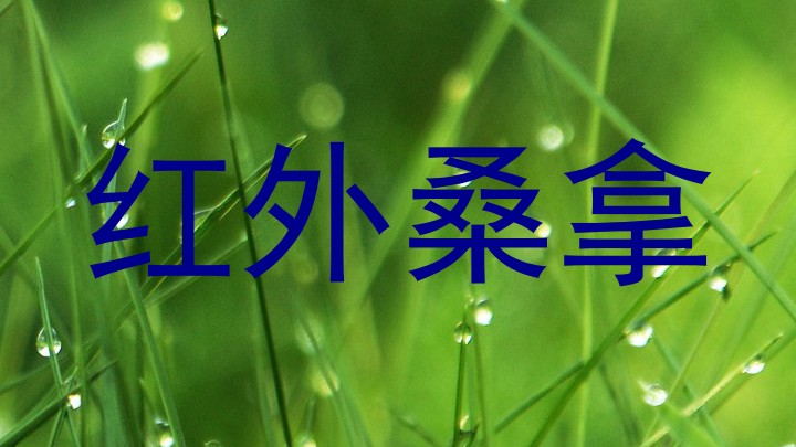 红外桑拿