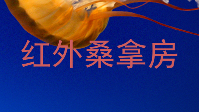 红外桑拿房