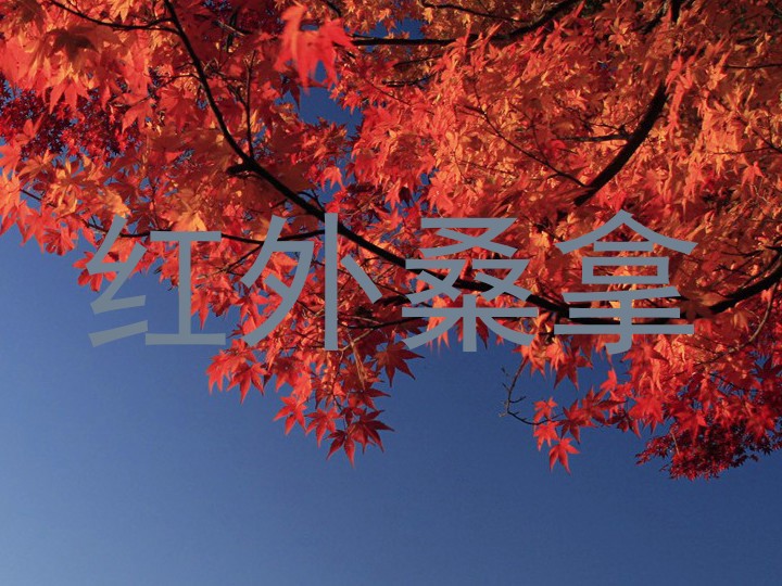 红外桑拿