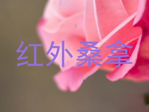 红外桑拿