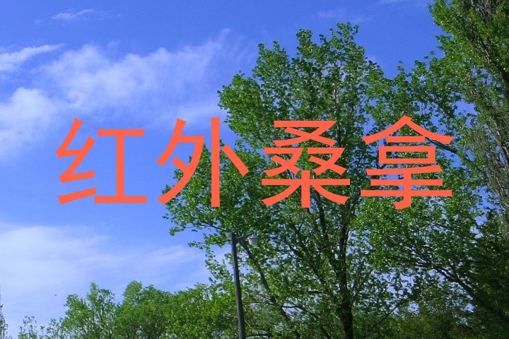 红外桑拿