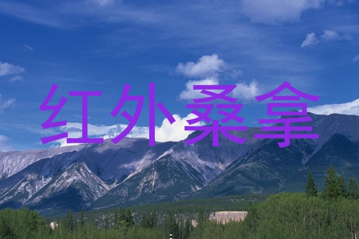 红外桑拿