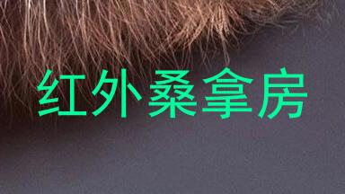 红外桑拿房