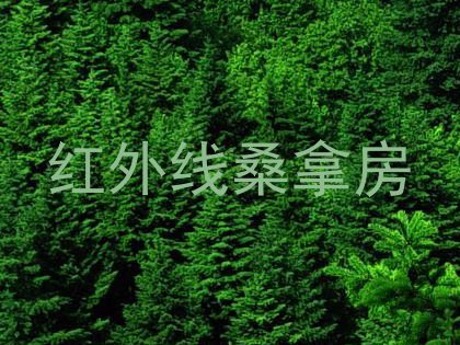 红外线桑拿房