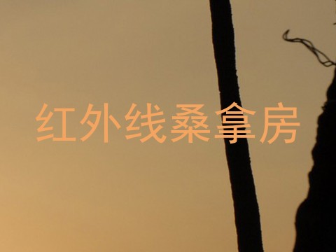 红外线桑拿房