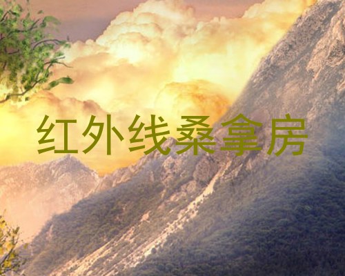 红外线桑拿房