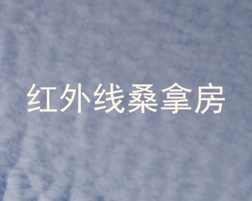 红外线桑拿房