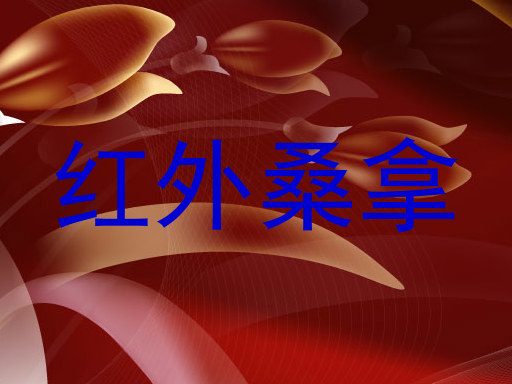 红外桑拿