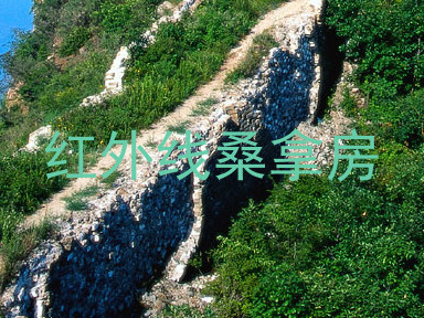 红外线桑拿房