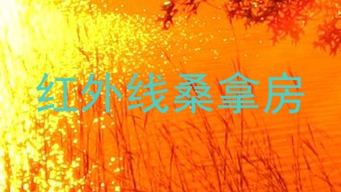 红外线桑拿房