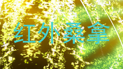 红外桑拿