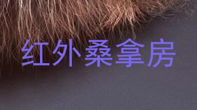红外桑拿房