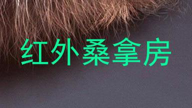 红外桑拿房