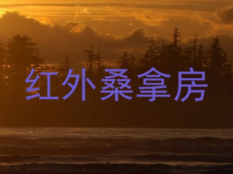 红外桑拿房