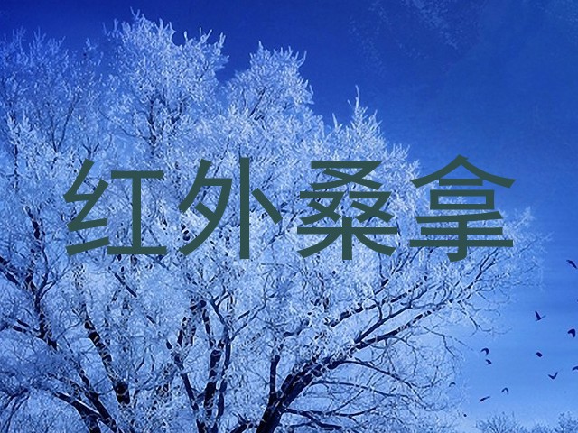 红外桑拿