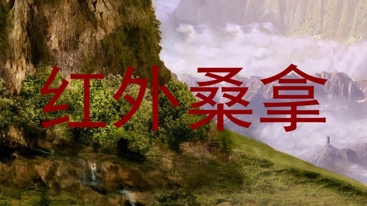 红外桑拿