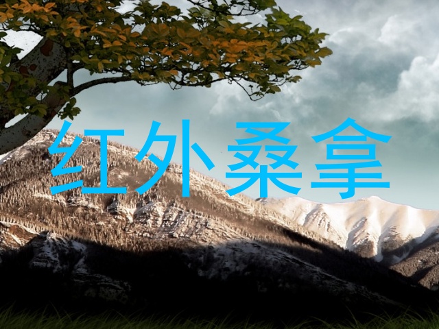 红外桑拿