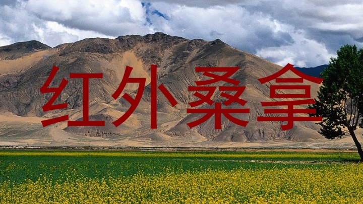 红外桑拿