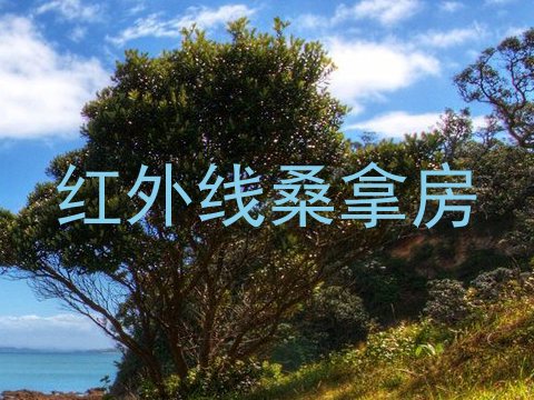 红外线桑拿房