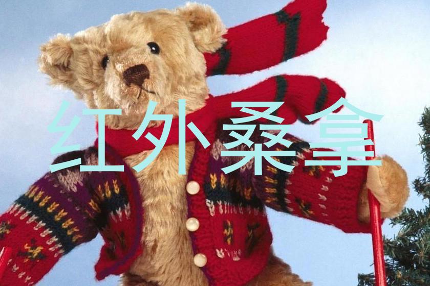红外桑拿