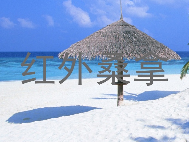 红外桑拿