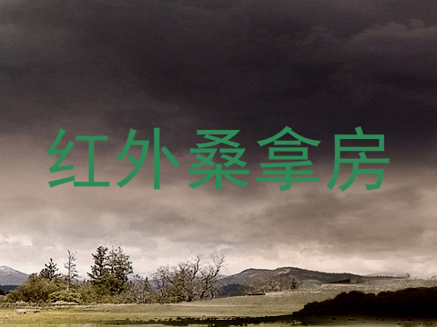 红外桑拿房