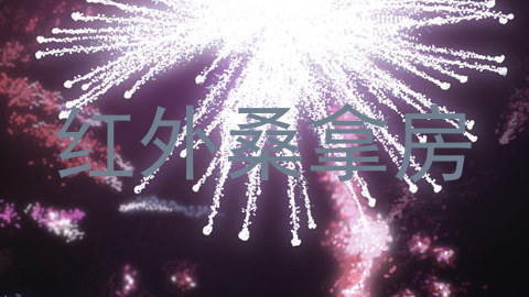 红外桑拿房
