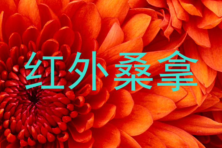 红外桑拿