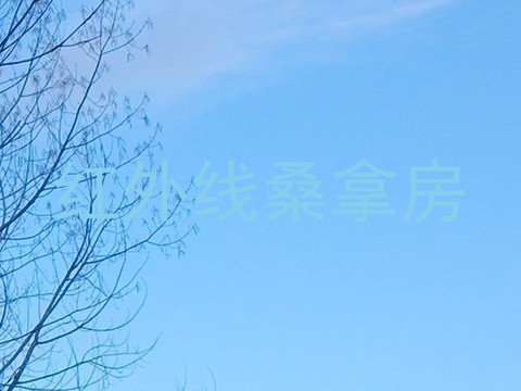 红外线桑拿房