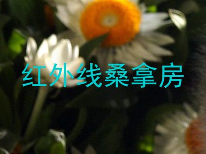 红外线桑拿房
