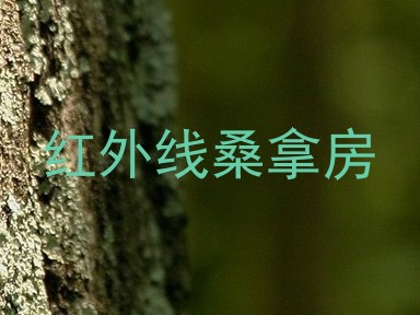 红外线桑拿房