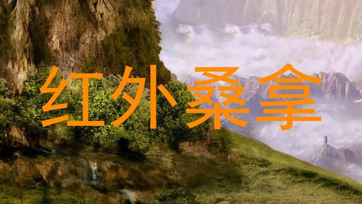 红外桑拿